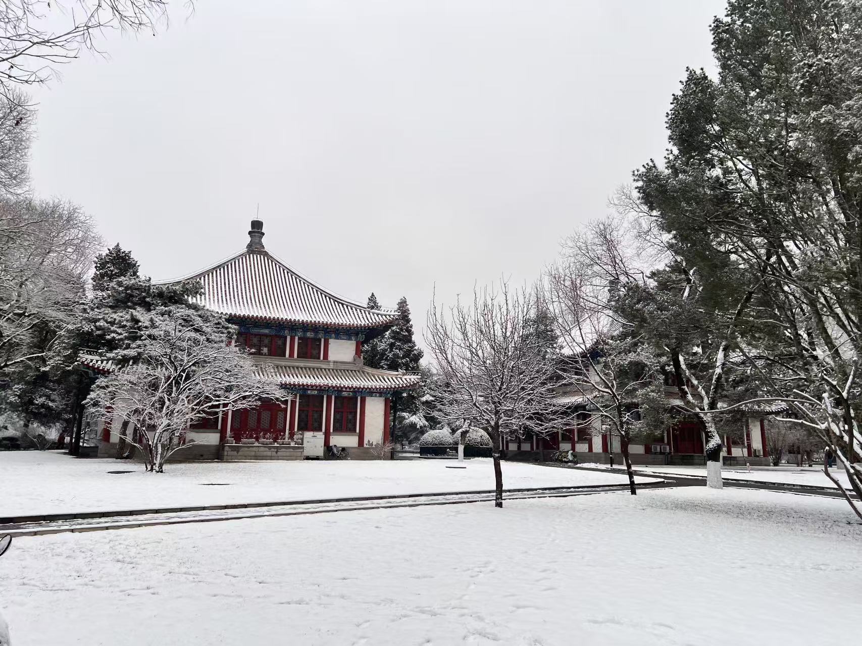 雪景